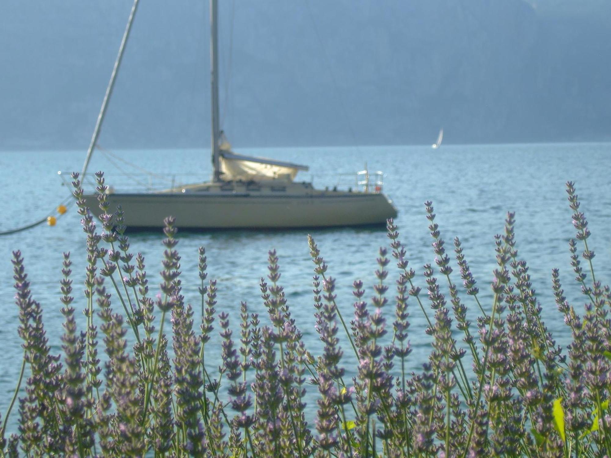 Residence San Vito Brenzone sul Garda Εξωτερικό φωτογραφία